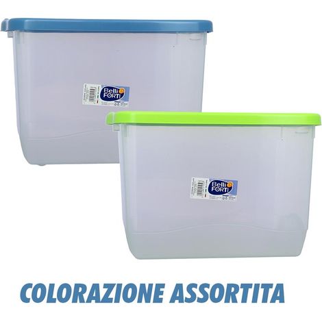 Scatola portabiancheria box tartarugo multiuso con coperchio 40 x 30 x 25 cm (1/5)