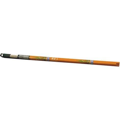 Lampada per terrari 30 watt: Lampada per terrari