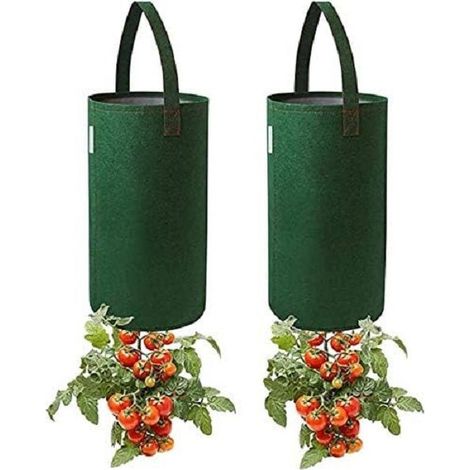 2 Hängende Tomatenpflanzer für den Anbau von Kräutern und Blumen, Blumentopf, Tomatenbeutel, Grün