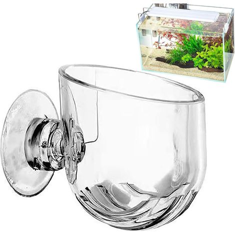 Transparenter Acrylbehälter Mit Saugen Für Wasserpflanzen