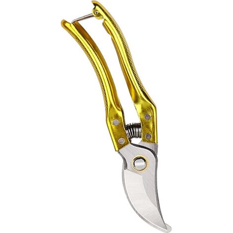 Filiyano-Cisailles de jardin professionnelles, outils de jardinage robustes (1/5)