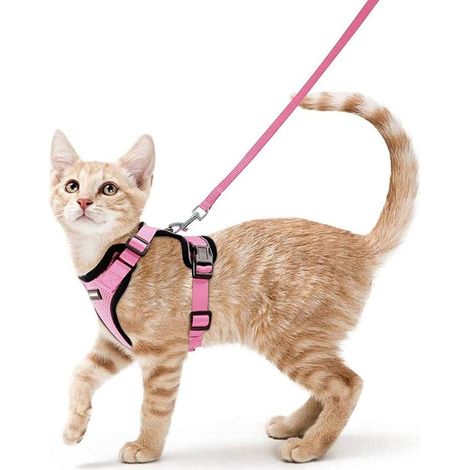 Harnais Chat Petit Chien Laisse Harnais Chaton Réglable Rose XS Collier Harnai Chat Refléchissant Gilet Respirant pour Lapin, Chat Européen, Maine Coon, Persan, Attache Dessus avec Laisse-Ensoleillé (1/5)
