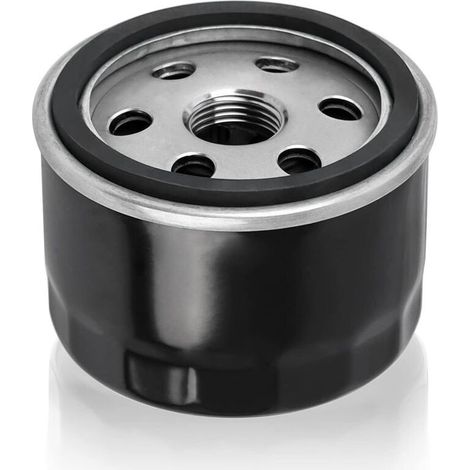 S-GIANT Filtre à huile de remplacement pour Kawasaki 49065-7007 49065-7002 49065-2057 49065-2076 49065-2077 Kawasaki FR541V FR600V FR651V FR691V FR730V FS481V FS541V FS600V