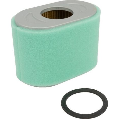 Luftfilter Air BRIGGS et STRATTON 797032 - 797033 - 798504
