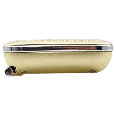 NALOOKAMIC  Poste Radio Portable, Radio FM AM Piles et Secteur, MP3, Enceinte, Support TF Card/USB, Torch, Convient (Doré)