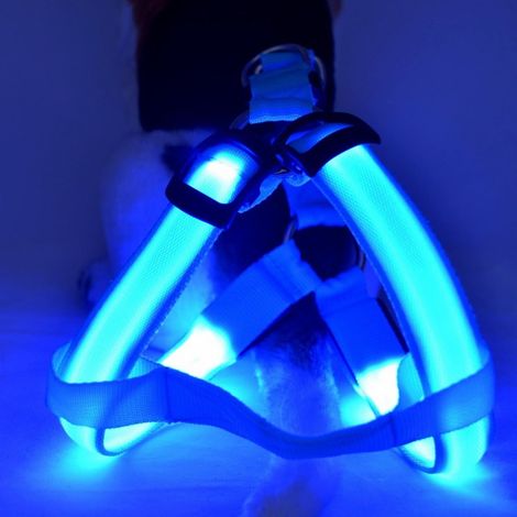 Harnais Lumineux Pour Chien - LED Rechargeable - Rembourré Souple Ajustable Réfléchissant - Pour Marche Nocturne Camping - Taille Unique (1/5)