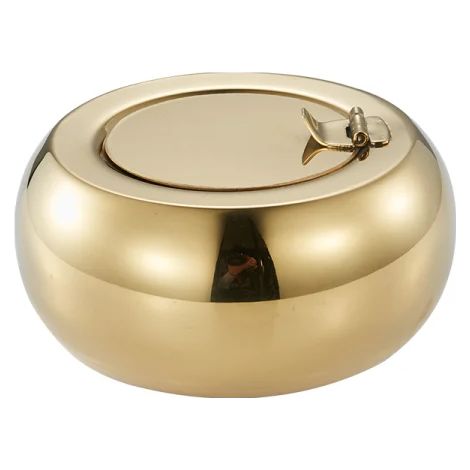 Plateau de table moderne en acier inoxydable doré avec couvercle, usage intérieur et extérieur, maison, bureau et décoration (1/5)