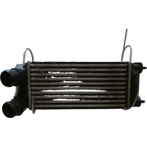 [PRODUIT D'OCCASION] Echangeur Air PEUGEOT Partner Break II Phase 2 (b9) 2012-... ♻️ Ref Oe. 9800291280 - Garantie à vie (1/5)
