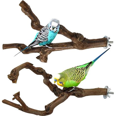 Perchoir pour Oiseau Perchoir Perroquet Perchoir en Bois de Raisin Oiseaux Perchoir Oiseaux Perches Perroquet Stand Perroquier Bois Jouet Formation Oiseau (1/5)