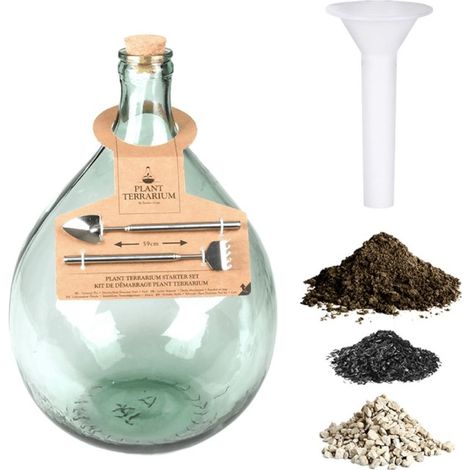 Kit terrarium plantes DIY complet 5L (1/8)