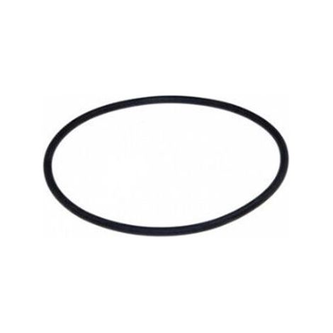 GUARNIZIONE POZZETTO LAVASTOVIGLIE REX ELECTROLUX AEG ZANUSSI 1119186003 (1/2)