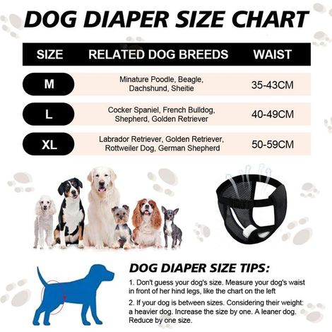 2er-Pack Hundehöschen für läufige Hündinnen, hygienischer Schutz für Hündinnen, waschbare Höschen (1/5)