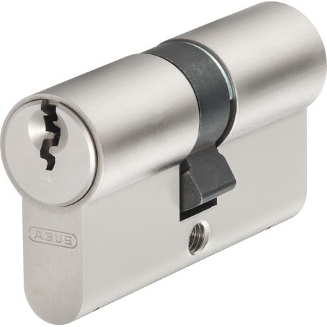 Cylindre Profilé E20NP 40/45 - Serrure de Porte, Niveau 5