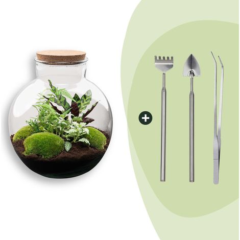 Terrarium Plante DIY avec Éclairage LED Kit Écosystème Autonome Verre et Liège Ø 31 x 30 cm - PANGIVO (1/3)