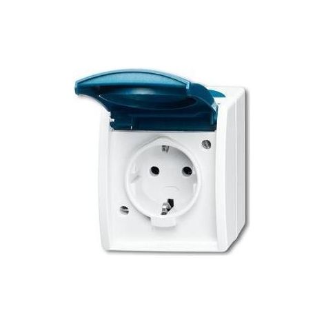 Busch-Jaeger Schuko-Steckdose gr/blgn AP, m.Klappdeckel 20 EW-53 (1/5)