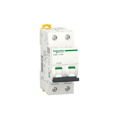 Interruttore Magnetotermico Ic60A 2P C 40A 4500A (Schneider Cod. A9F64240)