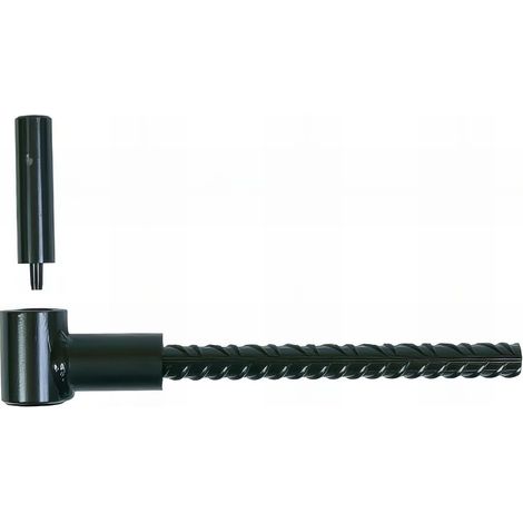 25 Gonds de volet Parpaing D. 12 x 125 mm - Clav. D. 14 mm - Double volet - Zingué jaune