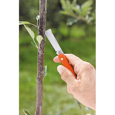Coltello da Innesto 50 mm STOCKER (1/2)