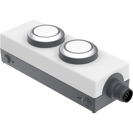 RAFI 1.22.392.392/2200 LDT091 Leuchtdrucktaster 24 V 0.5 A  tastend  (L x B x H) 123.2 x 40 x 35.6 m