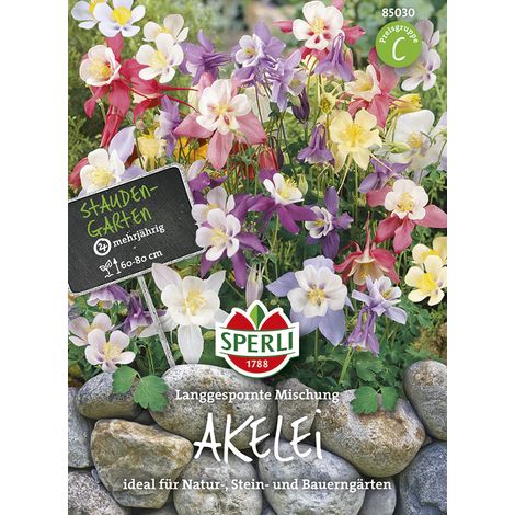 Sperli Akelei Langgespornte Mischung - Blumensamen (1/2)