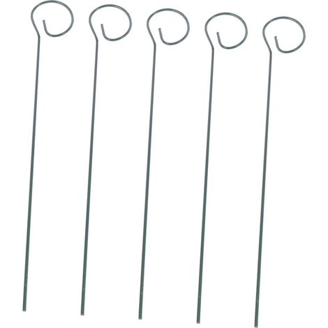 De 5 Supports pour Plantes Grimpantes en Fer Tiges Vertes (1/5)
