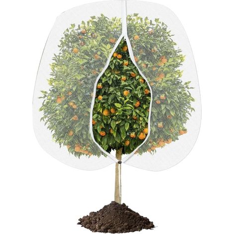 Rete di protezione per piante - 2,42,4 m - Rete di protezione per uccelli per alberi da frutto - Rete per alberi resistente ai raggi UV, al vento e alla pioggia - con cerniera e coulisse (1/5)