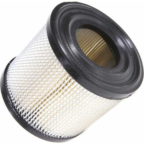 Filtre à air pour Briggs & Stratton 393957, 390930 (1/5)