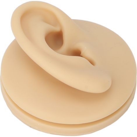 Modèle d'oreille humaine en silicone souple, détaillé et étanche pour l'étude de l'anatomie et la formation médicale (1/5)