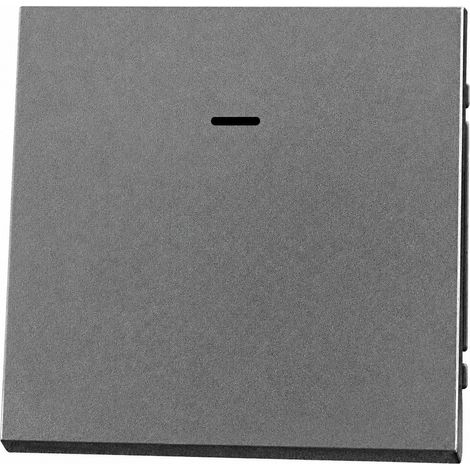Interrupteur poussoir 1 poste avec LED Série Z gris PC ignifuge 13 × 9 × 10 cm – Livraison gratuite
