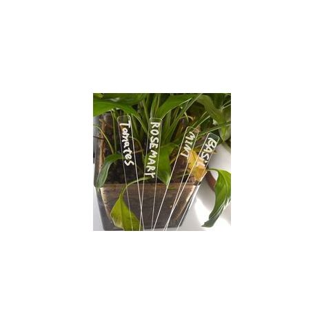 1 lot de 12 étiquettes pour jardinières - longues, étiquettes en plastique, plantes miniatures, panneaux pour plantes potagères, piquets pour étiquettes de jardin (1/5)