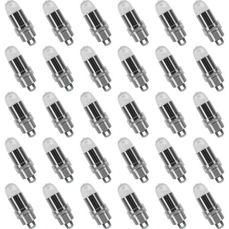 30PCS LED Ballons Lampes Lumineuses Blanc froid pour Lanterne Papier Décoration Mariage,Fête [Classe énergétique A+] (1/5)