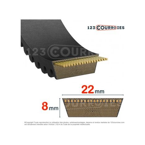 Courroie de variateur Contitech CONTI V VARISPEED ADVANCE 22x8x1800 Li