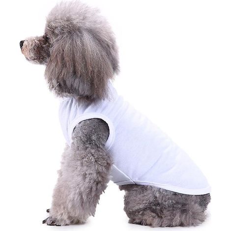 coton 1 Pices Chemises Pour Animaux, T-shirt Minimaliste Pour Chien, Mignon Respirant Chiot Sweat T Doux Gilet Mode Vtementsadapt Aux Chats Et Chi (1/5)