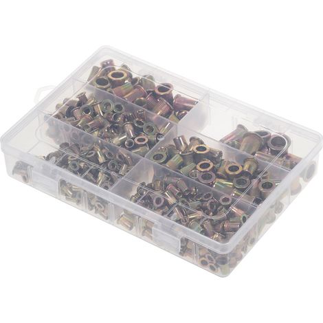 Kit d'écrous à rivets filetés métriques, assortiment de 500 pièces, M3 M4 M5 M6 M8 M10 (1/5)