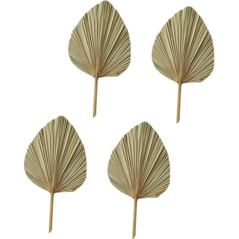 Lot de 4 Éventails de Feuilles de Palmier Séchées, Ornement Mural pour Mariage, Décoration Bohème, Accessoires pour Cérémonie et Pendaison de Crémaillère (1/5)