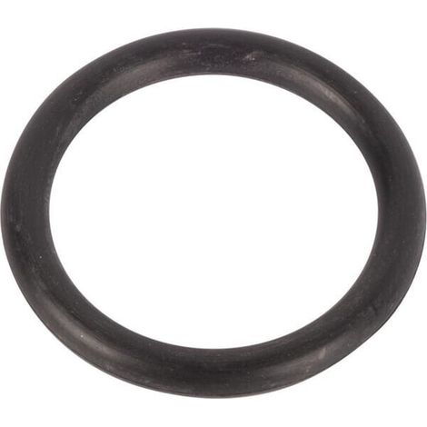 O-ring LANDINI 195631M1