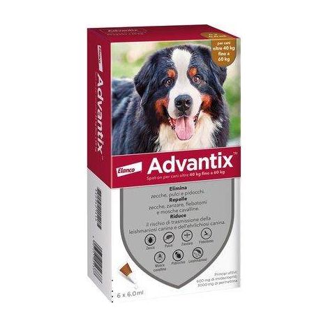 Vorteil für Hunde von 40 bis 60 kg Spot-On-Repellent gegen Pulcas Mosquito Mücken Bayer - 6 Pipette