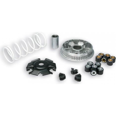 malossi variator für roller piaggio 125 vespa 946 nach 2012 (1/3)