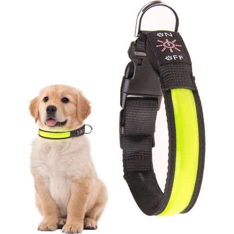 Sicherheits-Hundehalsband mit USB-wiederaufladbarer LED, aus Nylon, hell und blinkend.