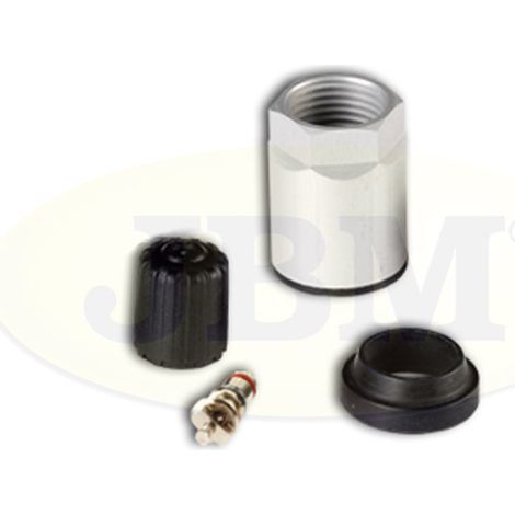 REMPLACEMENT DU KIT TPMS SCHGEN J  JBM12902