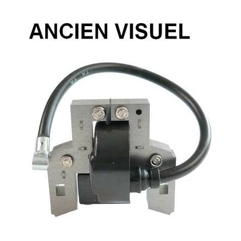 Ignition coil for Briggs & Stratton engine, 58.5 mm center distance, stop cable included, compatible with 5 HP engines. (1/3)