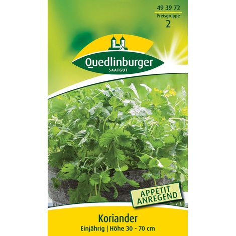 Quedlinburger Saatgut – Coriandre annuelle – Graines d'herbes aromatiques, arôme relevé légèrement anisé (1/2)