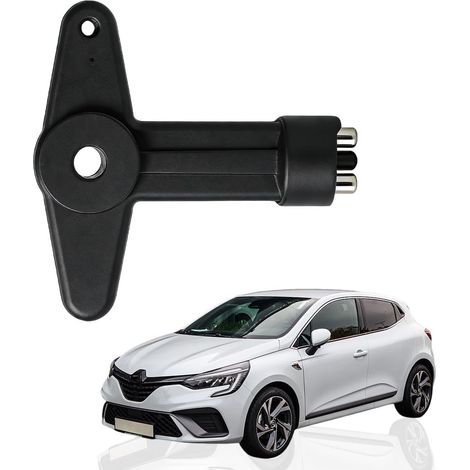 Clé Antivol Enjoliveur Clé de jantes enjoliveur Compatible avec Clio Espace Kangoo Megane Opel Écrou Enjoliveur antivol, Installation facile (1/5)