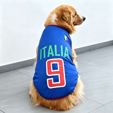 Shirt Chien Chihuahua T Shirt Pour Chien Combinaison Tee Shirt Chien Tshirt Pyjama Pour Chien Vêtement Sportif Coupe Du Monde Football Supporters Cadeau Idéal Été XS (Chest 11")