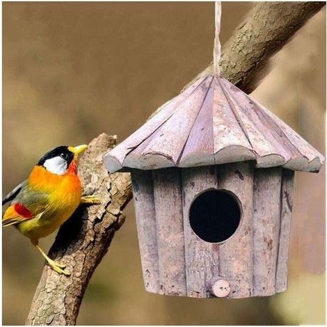 Nichoir à oiseaux en bois à suspendre pour l'extérieur, fabriqué à la main, pour hirondelle, moineau, colibri, (1/5)