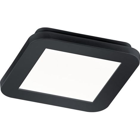 Camillus Led Plafonnier Carré Dimmable Noir IP44 17x17 cm Trio Lighting (1/3)