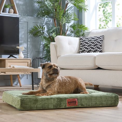 Paws for Slumber Orthopedic Pet Bed, Green, Medium
