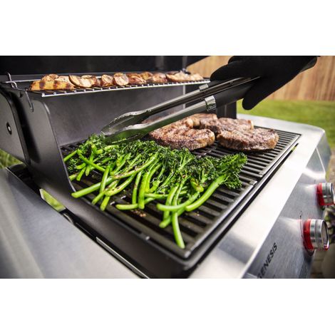 Weber Genesis E-315 Gasgrill (1/5)