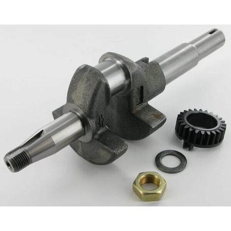 Albero a manovella BRIGGS ET STRATTON 793429 (1/2)