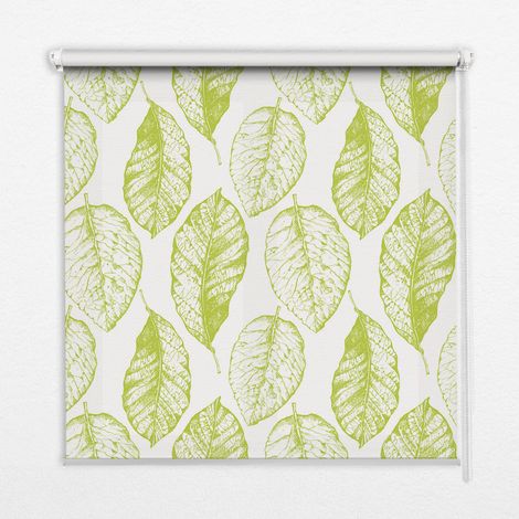 Innenrollo Fensterrollo - Rollo ohne Bohren - Sichtschutzrollo - Lichtdurchlässiges Rollo - Rechteckiges - Rollo - (80 cm x 180 cm) - Limettenblätter